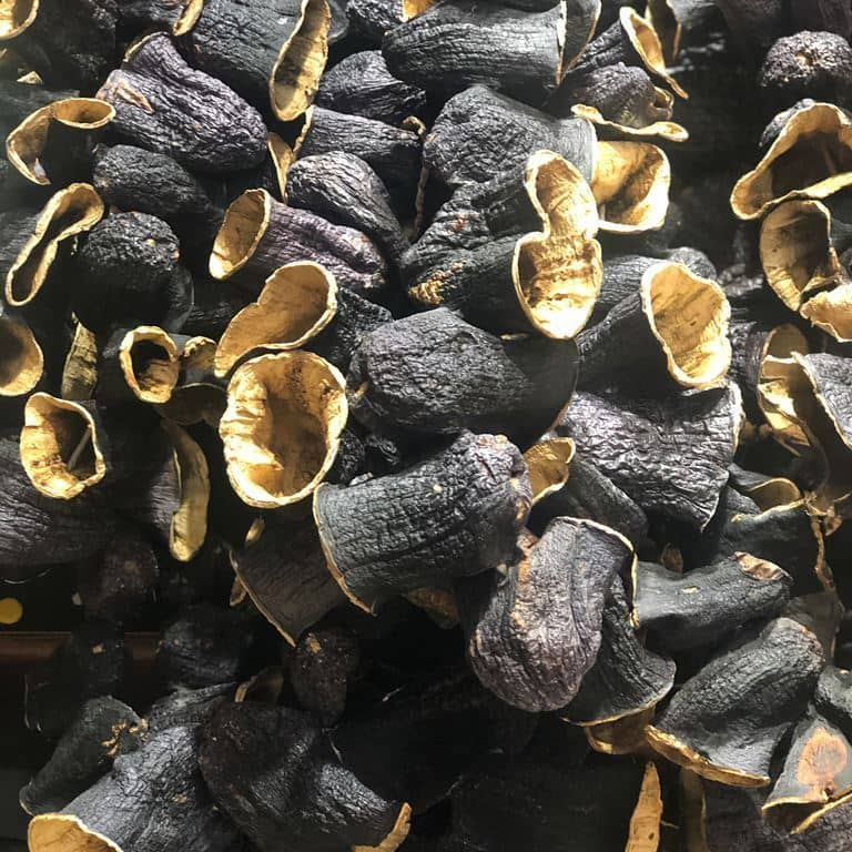 Güneşte Kurutulmuş Dolmalık Kuru Patlıcan Dizi